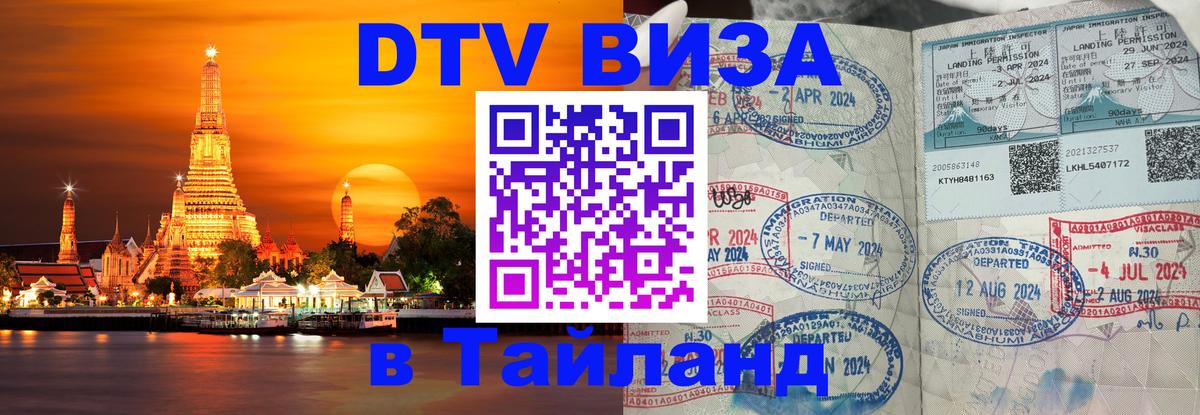 Оформление DTV визы под ключ: стоимость и тарифы, только загранпаспорт - 